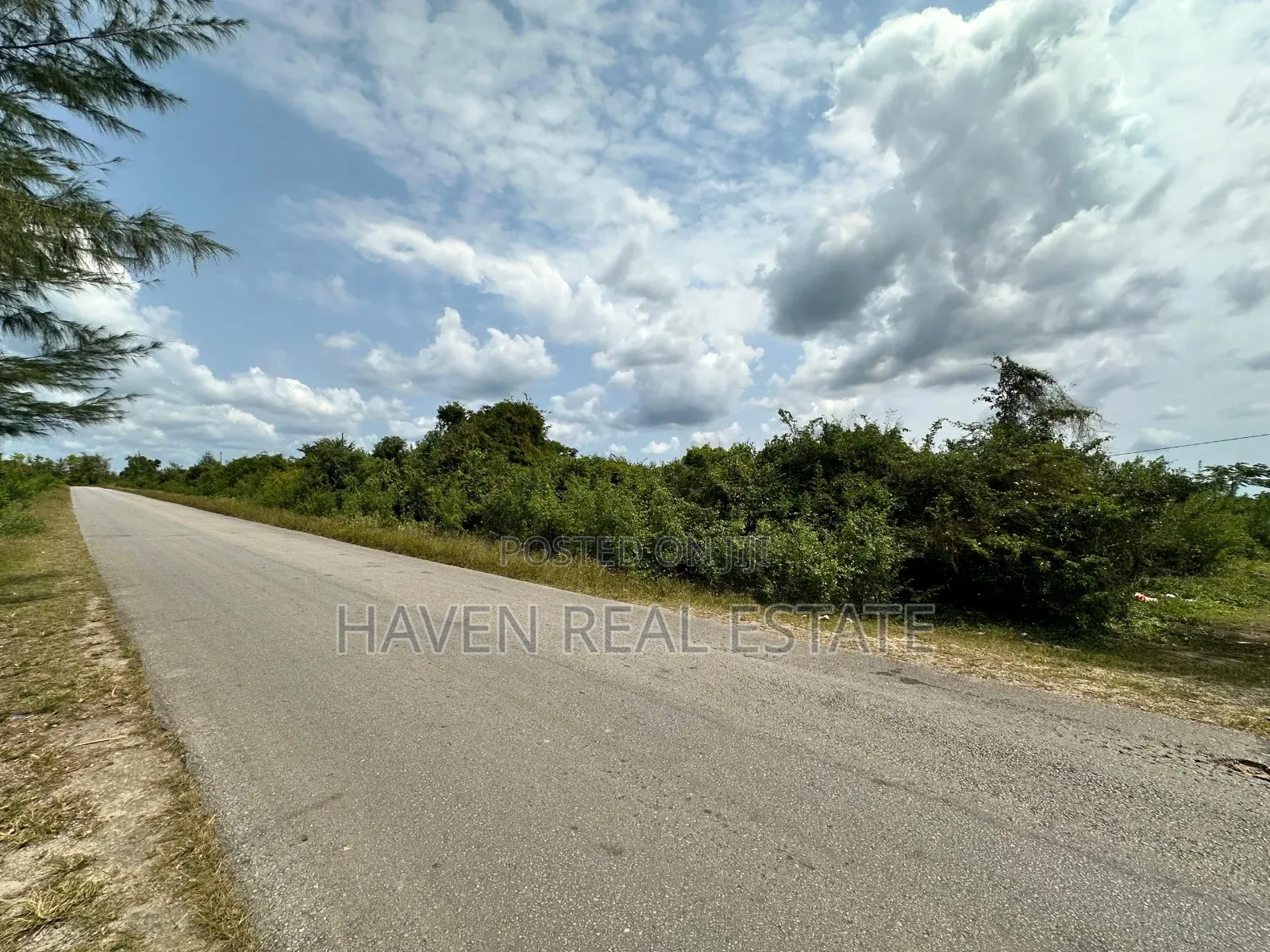 A Potential Road Side for Sale at Uroa Zanzibar