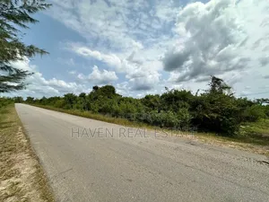 A Potential Road Side for Sale at Uroa Zanzibar