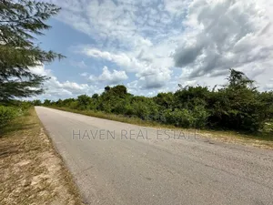 A Potential Road Side for Sale at Uroa Zanzibar