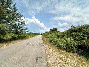 A Potential Road Side for Sale at Uroa Zanzibar