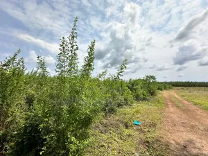 A Potential Road Side for Sale at Uroa Zanzibar