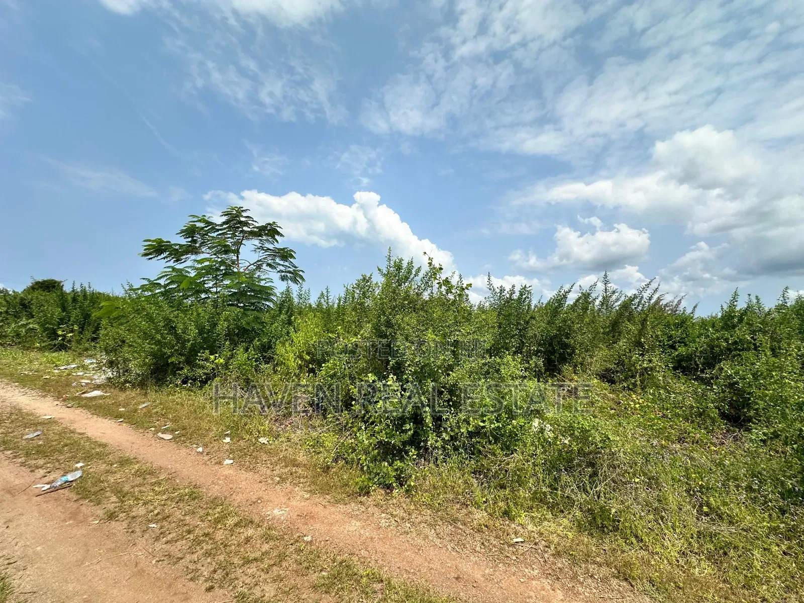 A Potential Road Side for Sale at Uroa Zanzibar
