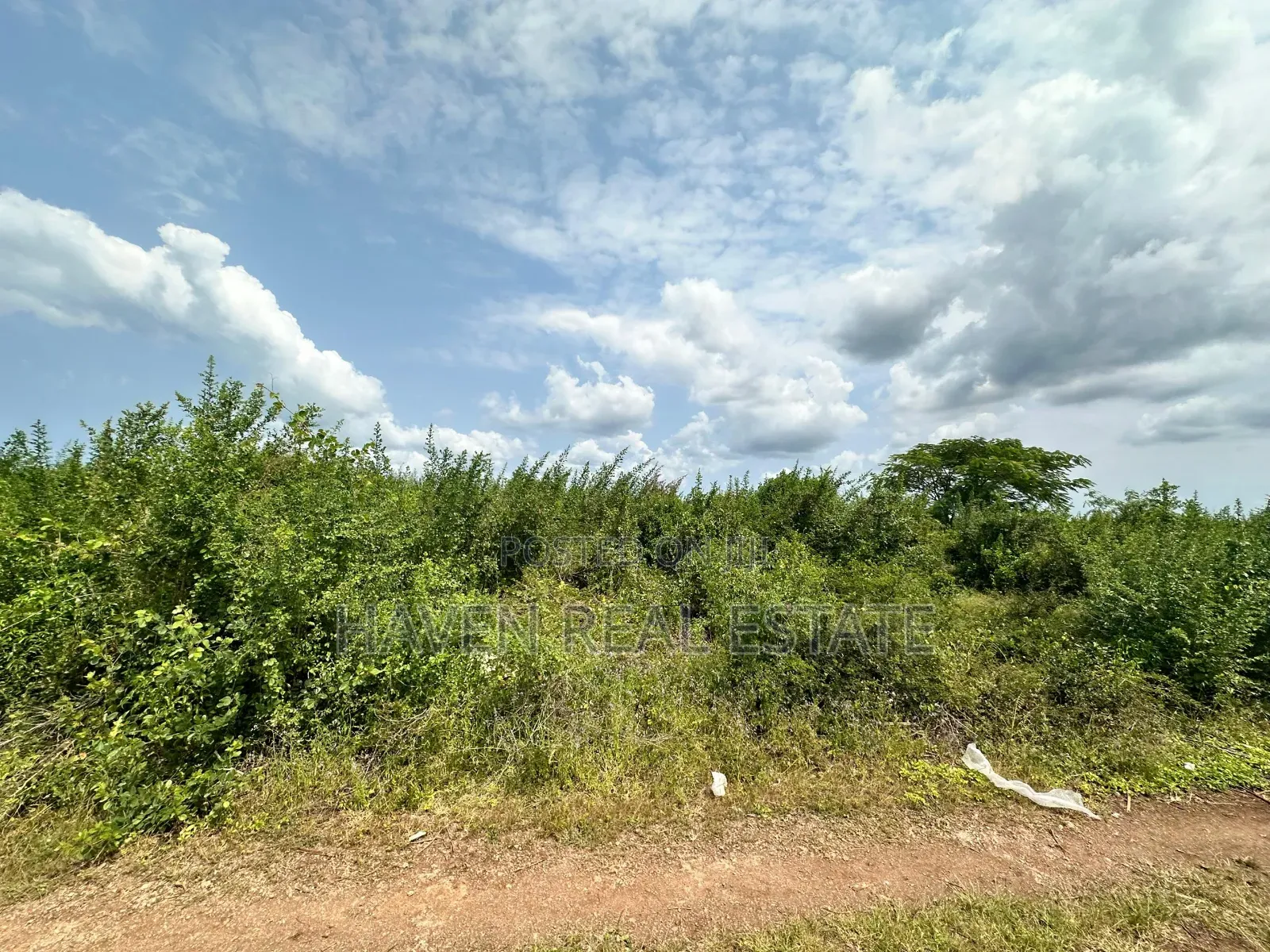 A Potential Road Side for Sale at Uroa Zanzibar