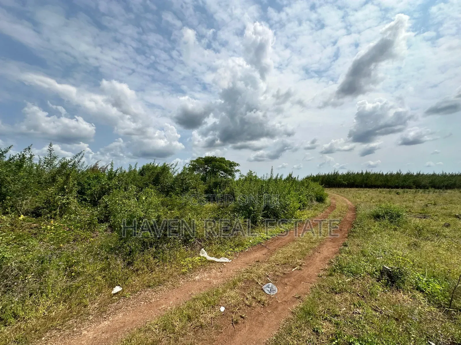 A Potential Road Side for Sale at Uroa Zanzibar
