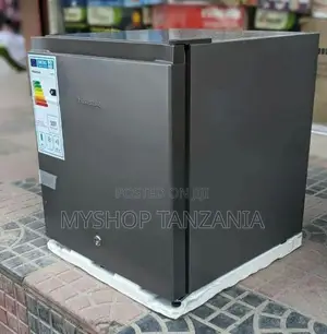 H65rts Hisense Liter 42 (Mini Fridge)