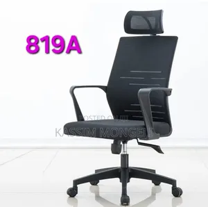 Egronmic Chairs