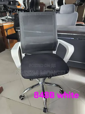 Egronmic Chairs