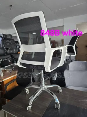Egronmic Chairs