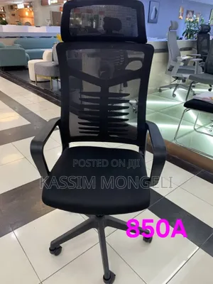 Egronmic Chairs