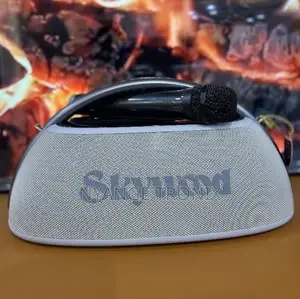 Skywood Boombox 2