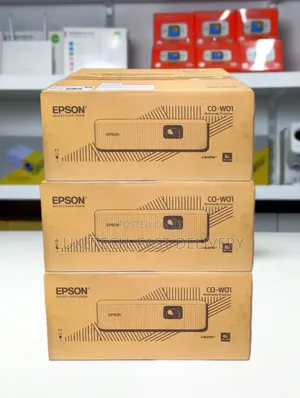 Epson Multimedia Projector Co-W01