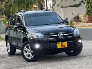 Toyota RAV4 2009 Black