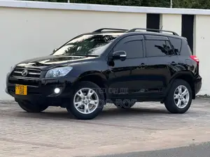 Toyota RAV4 2009 Black