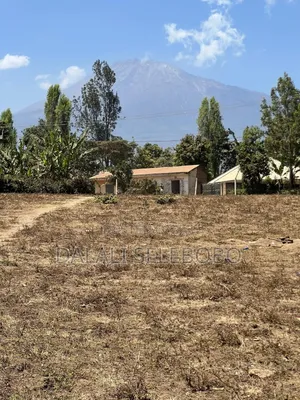 Hector 3 at Sakina Arusha