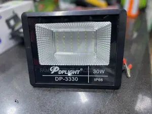 30w Flood Light