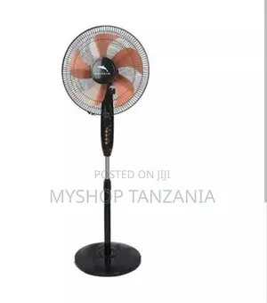 Dolphin Standing Fan Size 16(16480)
