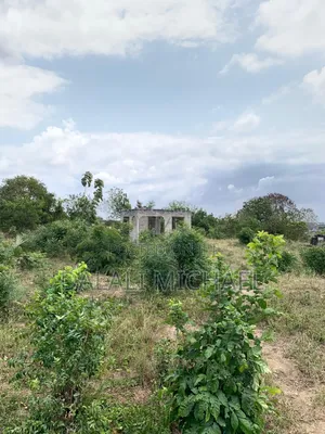 Plot for Sale Bunju Beach Moga