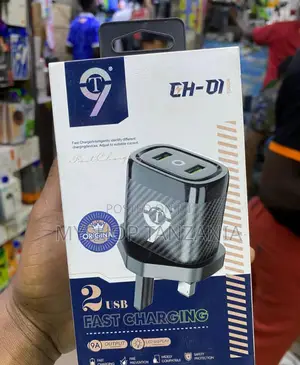 Choi 2 Usb Fast Charging