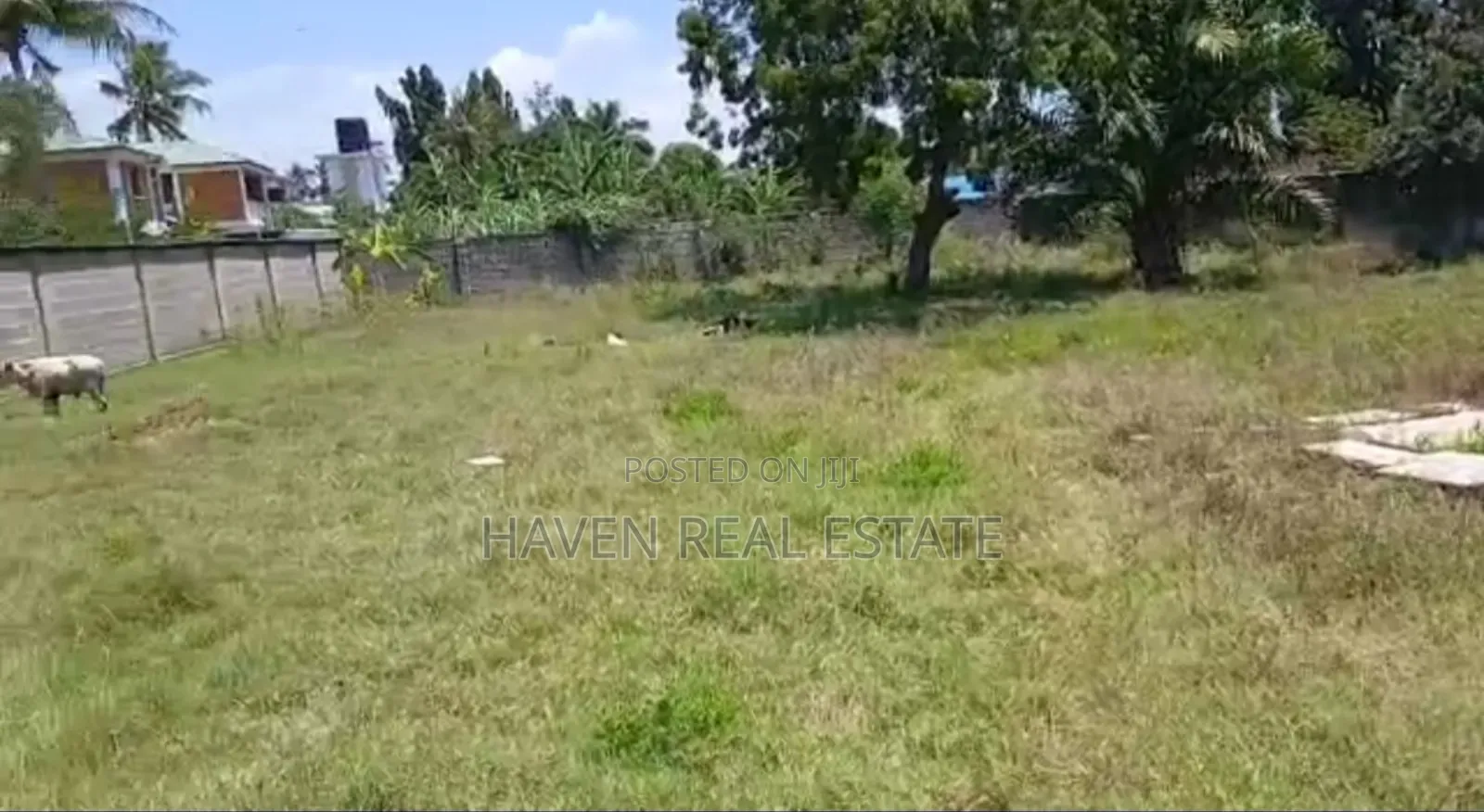Fenced Plot for Sale at Kunduchi Beach