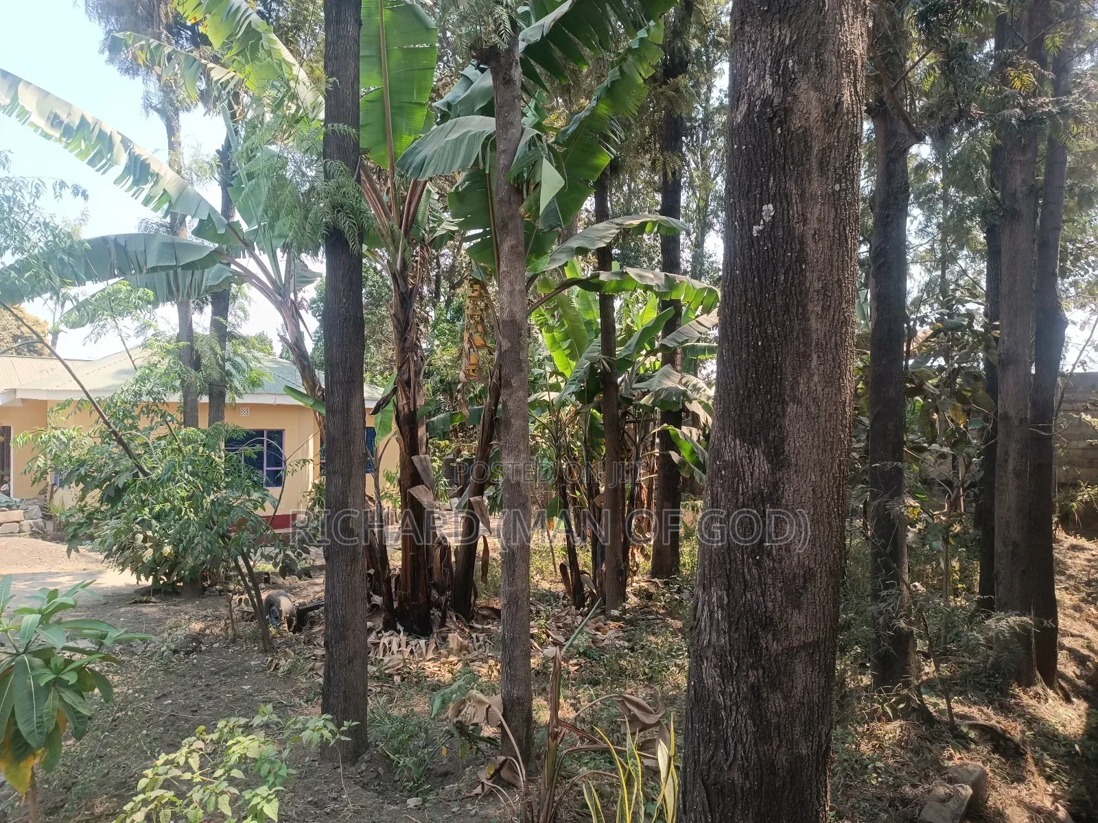 Furnished 4bdrm Bungalow in Arusha for rent