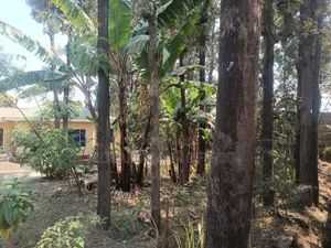 Furnished 4bdrm Bungalow in Arusha for rent