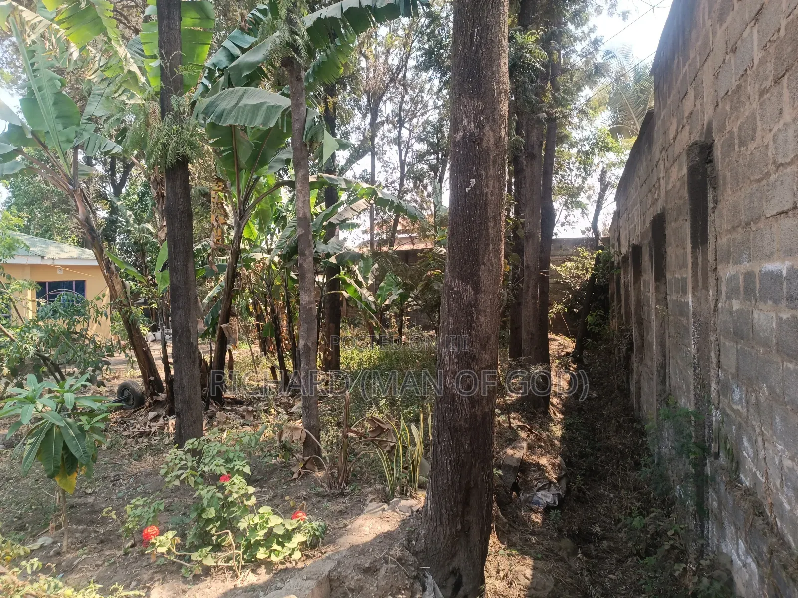 Furnished 4bdrm Bungalow in Arusha for rent