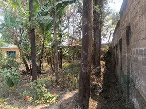 Furnished 4bdrm Bungalow in Arusha for rent