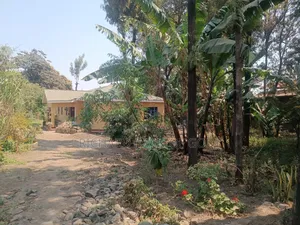 Furnished 4bdrm Bungalow in Arusha for rent