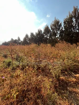 Corner Plot for Sale at Karatu Arusha