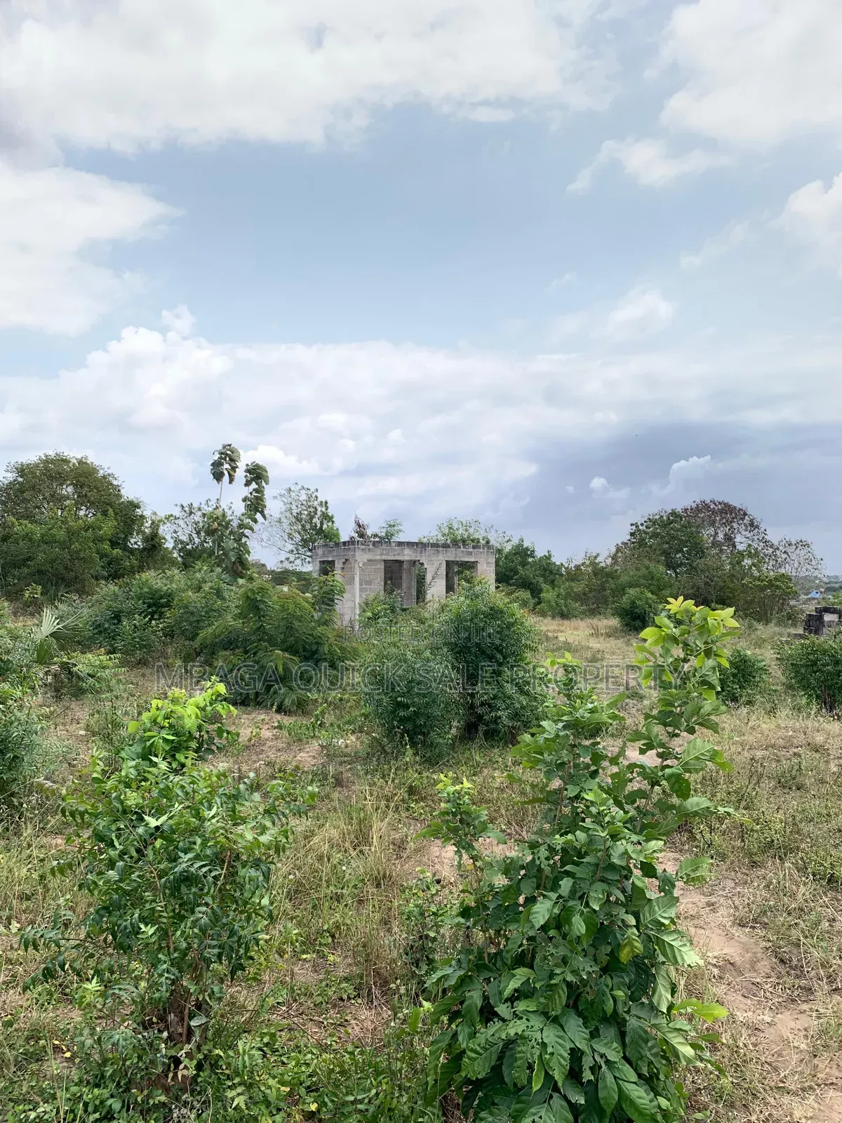 Plot Area SQM 2012 for Sale at Bunju Beach