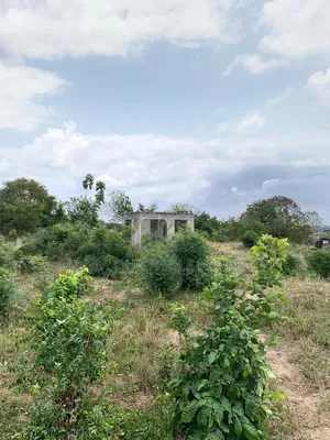 Plot Area SQM 2012 for Sale at Bunju Beach