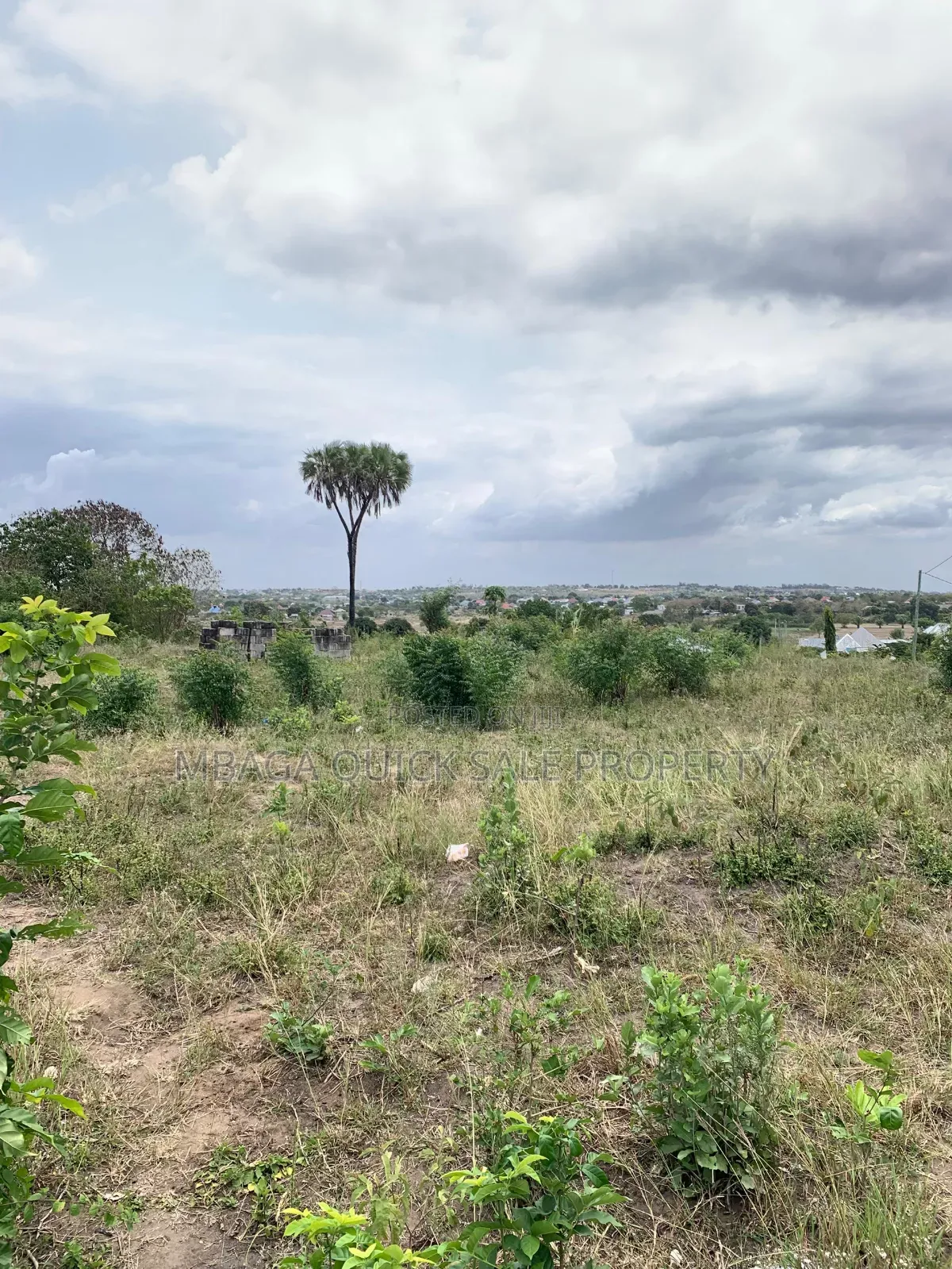 Plot Area SQM 2012 for Sale at Bunju Beach