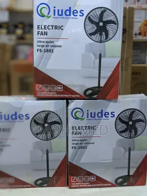 Qiudea Stand Fan