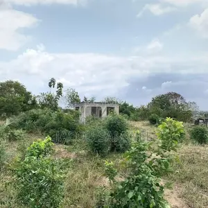 Plot for Sale