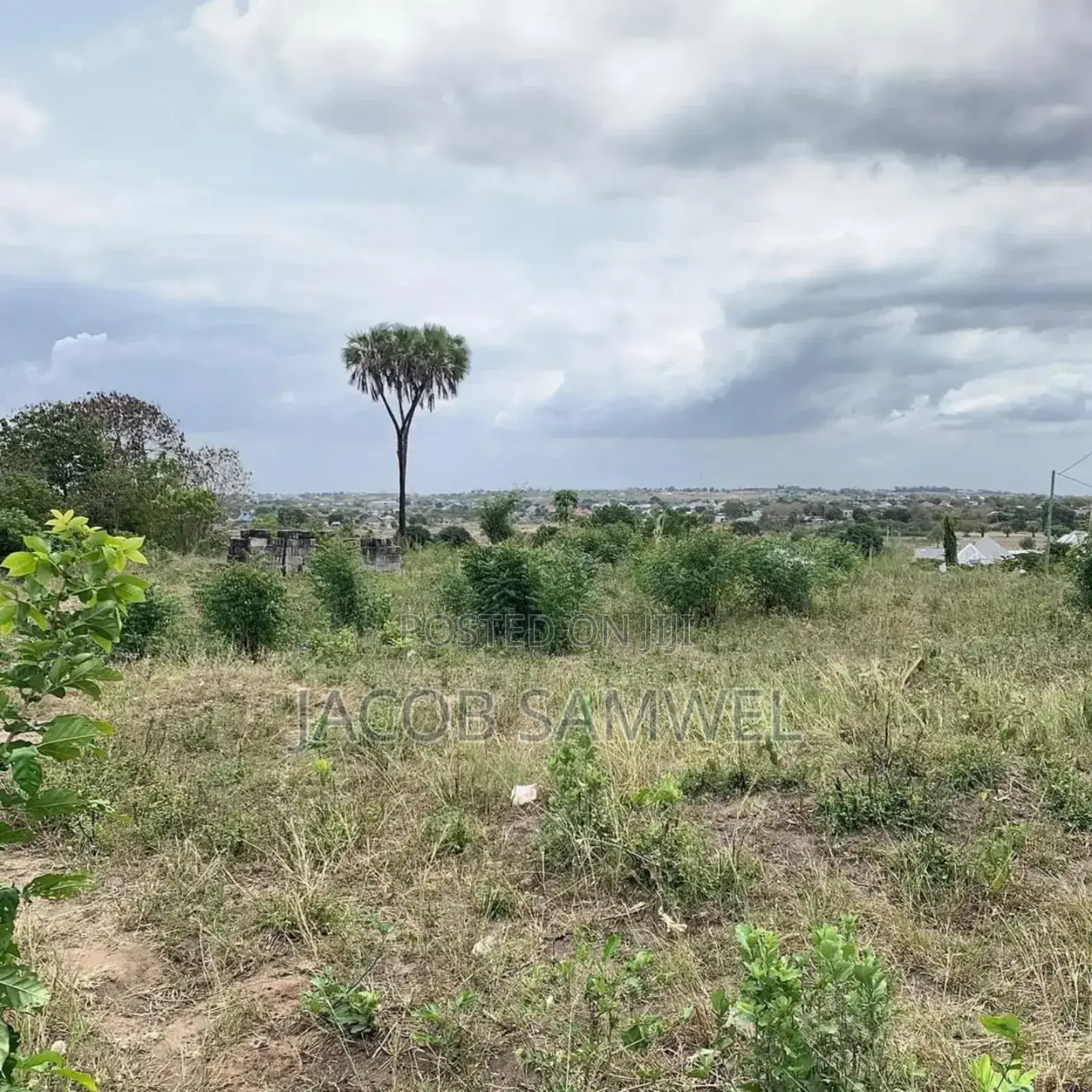 Plot for Sale