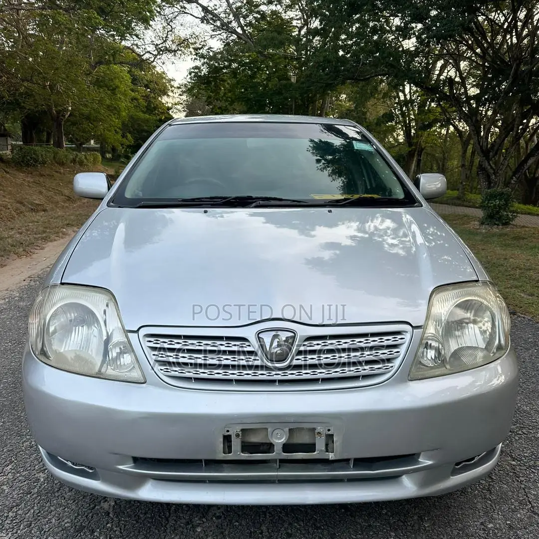 Toyota Corolla RunX 2004 Silver