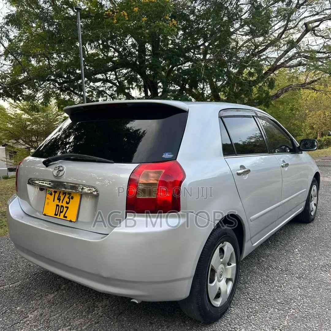 Toyota Corolla RunX 2004 Silver