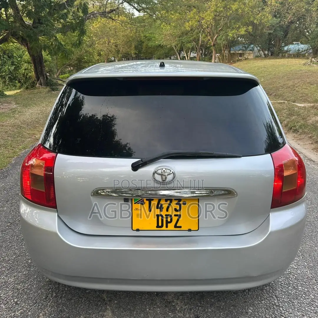 Toyota Corolla RunX 2004 Silver