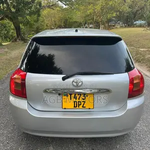 Toyota Corolla RunX 2004 Silver
