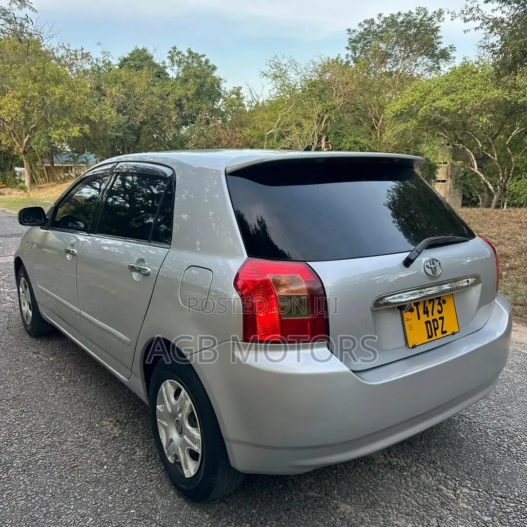 Toyota Corolla RunX 2004 Silver