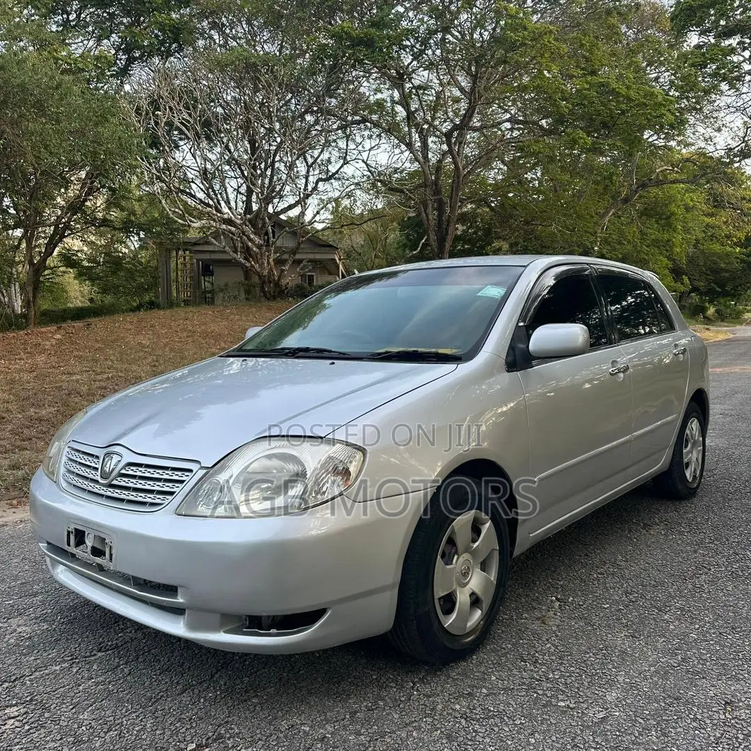 Toyota Corolla RunX 2004 Silver