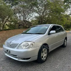 Toyota Corolla RunX 2004 Silver