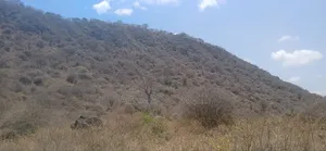 Land for Sale at Mto Wa Mbu Area,Arusha-Tanzania