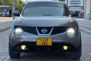 Nissan Juke 2012 Gray
