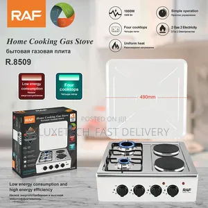 Raf 2 Gas 2 Electricity Home Cooking Gas Stove