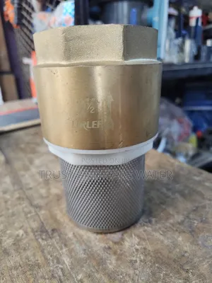 Foot Valve (2 1/2inch)