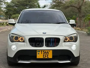 BMW X1 2010 Pearl