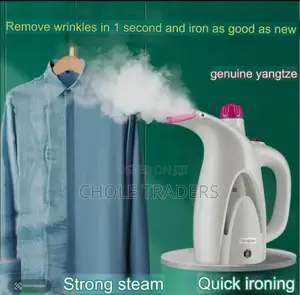 Handheld Steam Iron