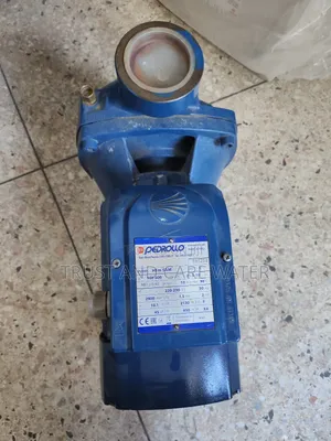 Pedrollo Surface Pump 2hp (2inch)