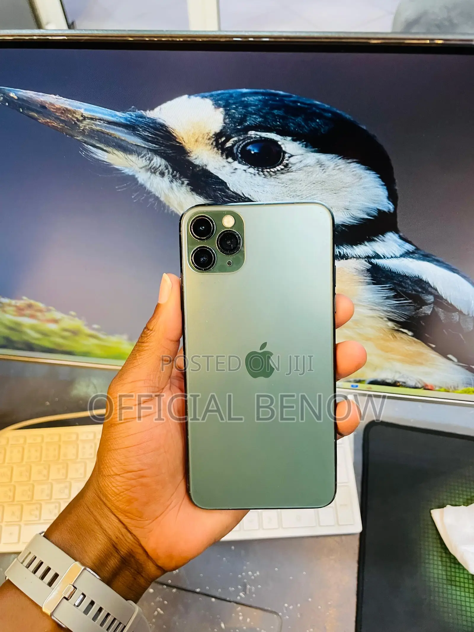 Apple iPhone 11 Pro Max 256 GB Green